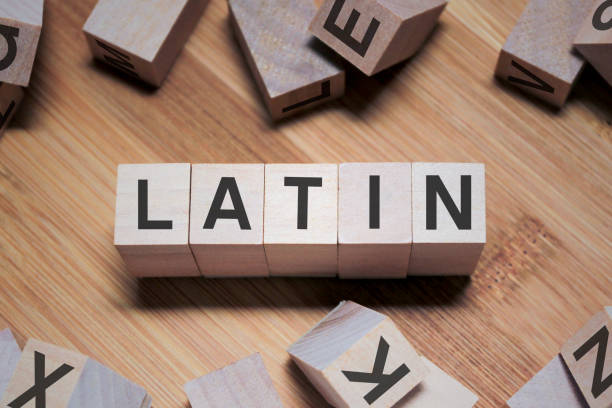 istock Latin Word In Wooden Cube 1152217769