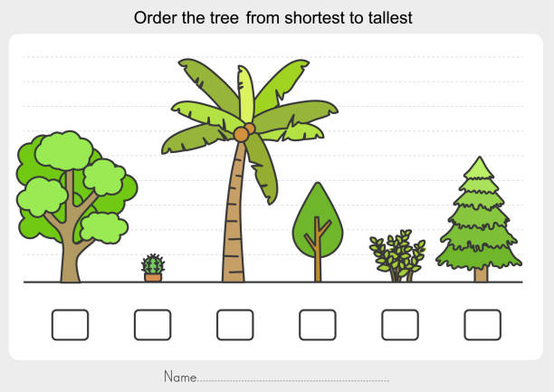Measurement worksheet - Order the tree from shortest to tallest. Measurement worksheet - Order the tree from shortest to tallest. - Worksheet for education. short stature stock illustrations