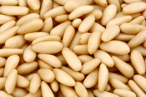 dry pine nuts on a white background