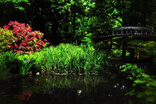 istock Szczytnicki Park in Wroclaw 1152220540