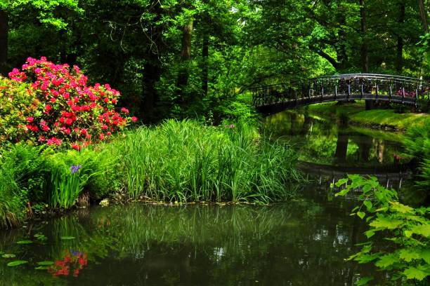 istock Szczytnicki Park in Wroclaw 1152220558