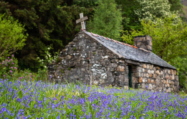 istock Bluebell fields at St John's Episcopal Church, Glencoe 1152221967