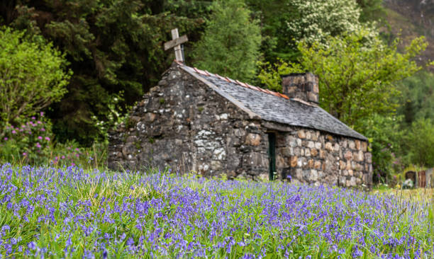 Bluebell fields at St John's Episcopal Church