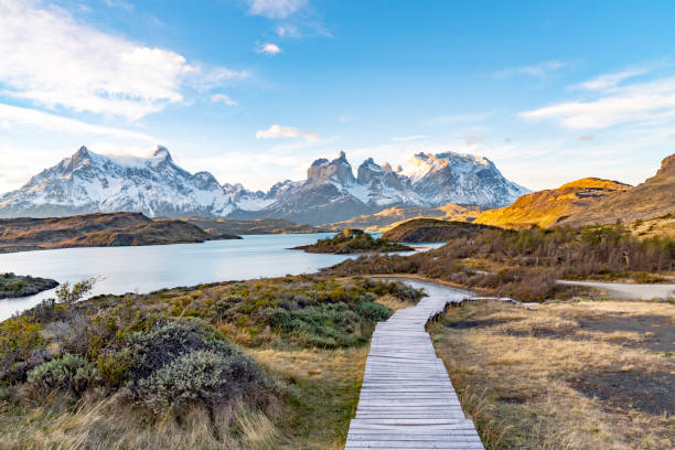 istock Torres del Paine National Park, Chile. (Torres del Paine National Park) 1152222439