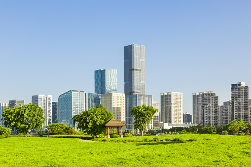 Cityscape and skyline of Fuzhou from green field in park,Fuzhou,China