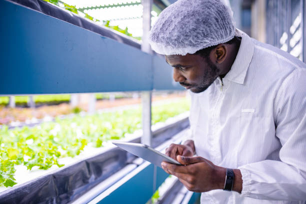 istock African Ag Technician Studying Growth Stats of Indoor Crops 1152223970
