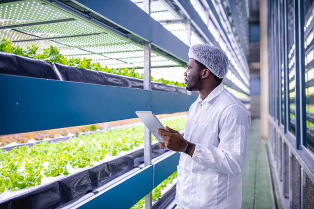 istock African Vertical Farmer Monitoring Indoor Crop Development 1152223979
