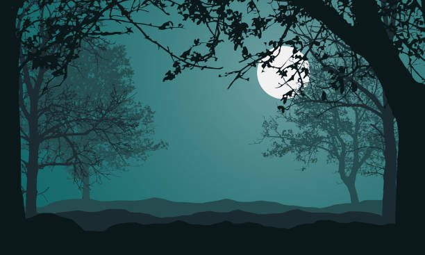 bildbanksillustrationer, clip art samt tecknat material och ikoner med illustration av landskap med skog, träd och kullar, under natten grön himmel med fullmåne och utrymme för text-vektor - moon forest