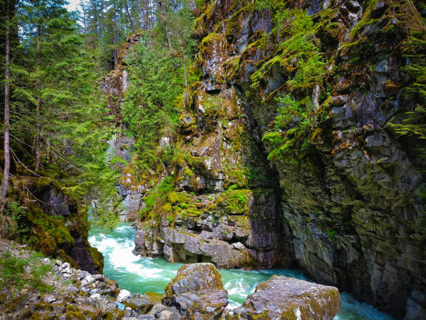 istock Coquihalla Canyon Provincial Park 1152225028