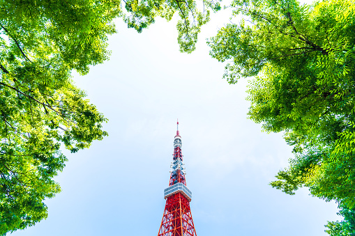 Asia, Japan, Tokyo - Japan, Public Park, Tokyo Tower