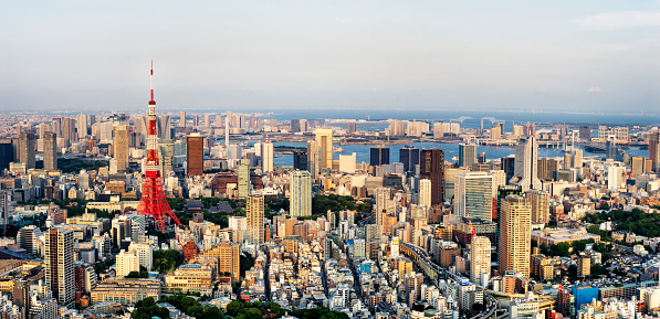 Panoramic of Japanese capital city, Tokyo with its famous landmarks