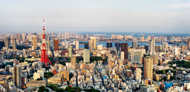 Tokyo Panorama stock photo