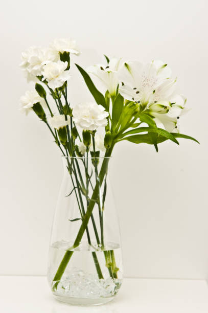istock White flowers in glass vase on a shelf 1152230601