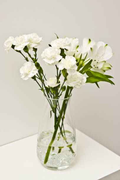 istock White flowers in glass vase on a shelf 1152230769
