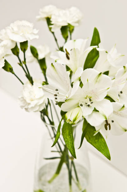 istock White flowers in glass vase on a shelf 1152230884