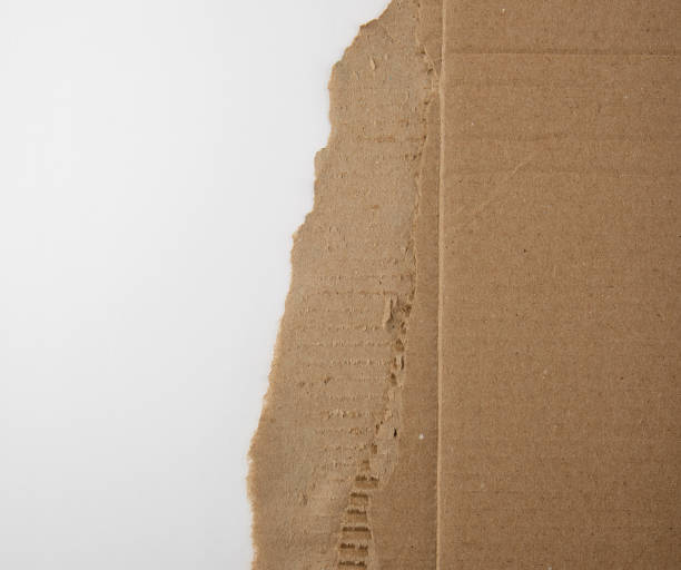 istock brown paper from the box, torn edge on a white background 1152235007