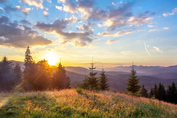 Sunset in the mountains, glade with green grass in the rays of the sun, the landscape in backlight stock photo