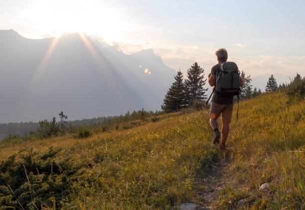 istock Hiker walks along trail in meadow at sunrise 1152236936