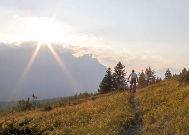 istock Mountain biker rides along trail in meadow at sunrise 1152236981