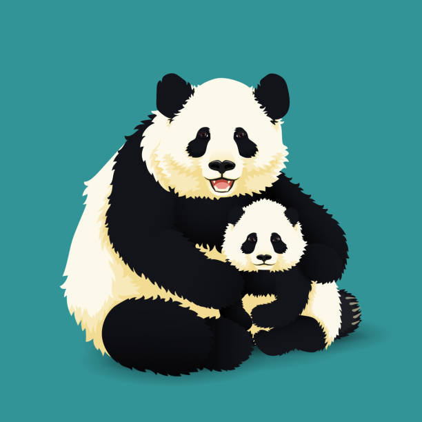 Adult Giant Panda Embracing Baby Panda Chinese Bear Family Mother Or Father  And Child Rare Vulnerable Species Stock Illustration - Download Image Now -  iStock