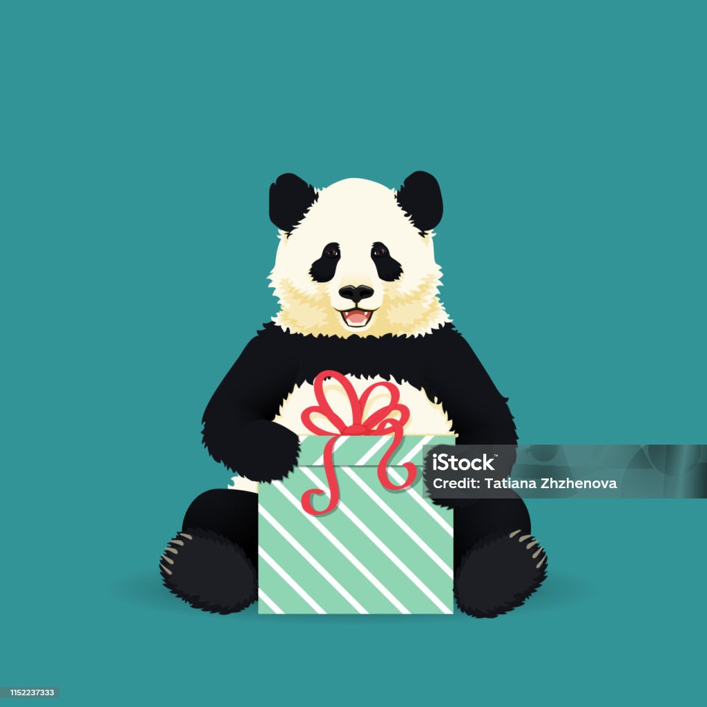 Smiling giant panda sitting holding a present . Chinese bear family. Mother or father and child. Rare, vulnerable species. Animal stock vector