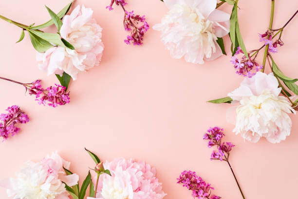 istock Flat lay composition with pink peonies on a pink background 1152237375