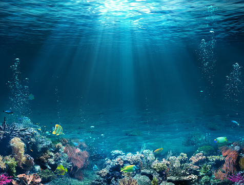 Escena submarina-fondo tropical con arrecife y sol. photo