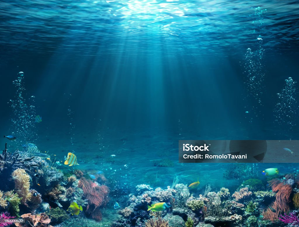 Underwater Scene - Tropical Seabed With Reef And Sunshine. Underwater - Blue Tropical Seabed With Reef And Sunbeam Sea Stock Photo