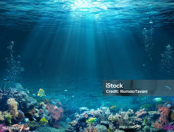 Underwater Scene Tropical Seabed With Reef And Sunshine Stock Photo - Download Image Now