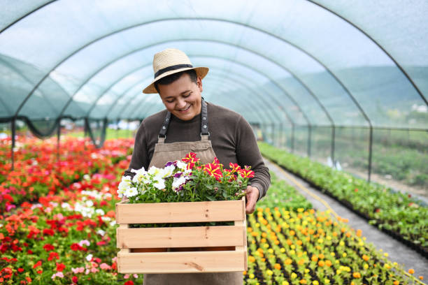 istock Smiling Hispanic Male Gardener Showing Love For His Work 1152238774