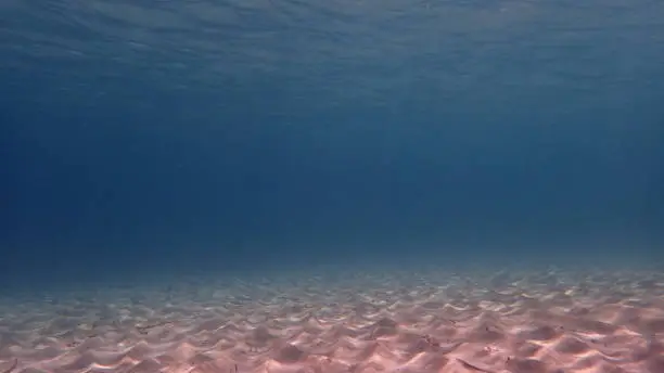 Underwater landscape of Sicily (Italia)