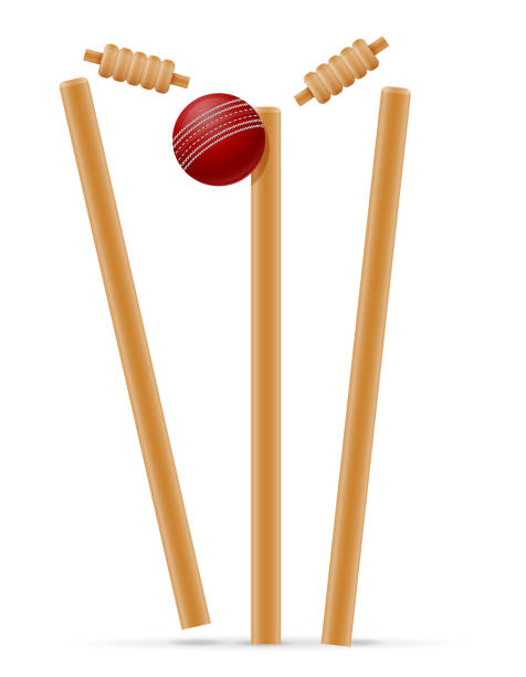 istock cricket sports game stock vector illustration 1152242760