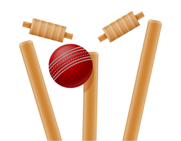 istock cricket gate and ball for a sports game stock vector illustration 1152242801