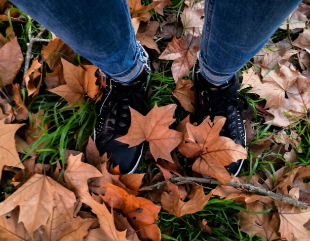 a portrait of the girl shoes behind Maple Leaves in the autumn of Canada over the grass
