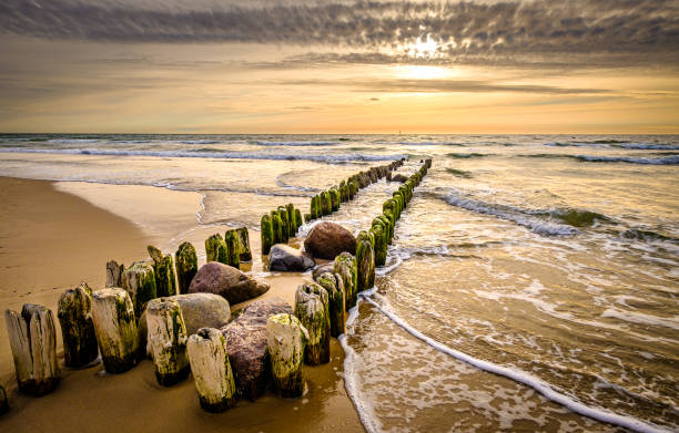 typical mole at the northsea typical mole at the northsea - sylt groyne stock pictures, royalty-free photos & images