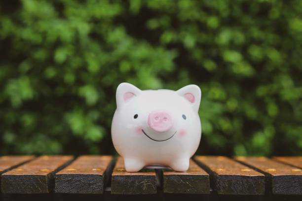 istock Piggy bank. 1152246086