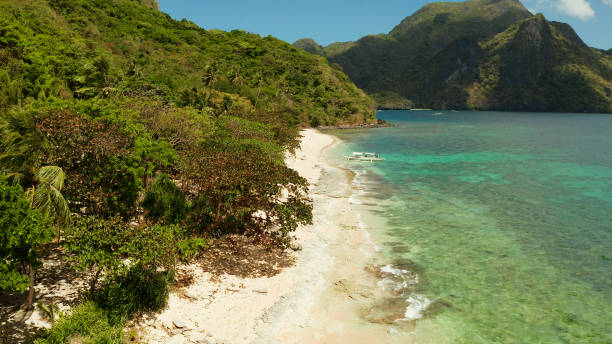 istock Tropical island with sandy beach. El nido, Philippines 1152247153