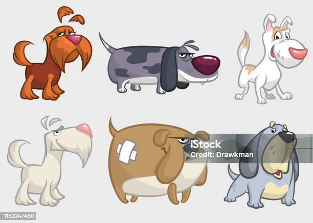 Cartoon Dogs Set Illustration Stock Illustration - Download Image Now - Dog, Afghan Dog, Animal