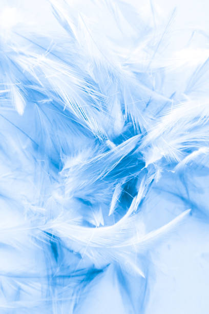 istock Beautiful abstract colorful white and blue light feathers wall pattern textures background and wallpaper art 1152248907