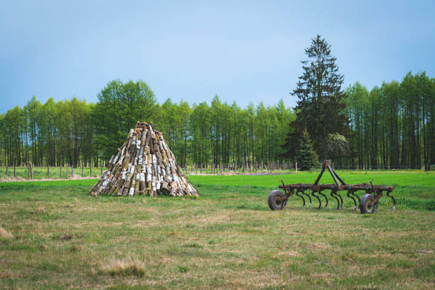 istock Birch firewood for a fireplace arranged in a stack on a meadow. Old farm machine nearby. 1152249337