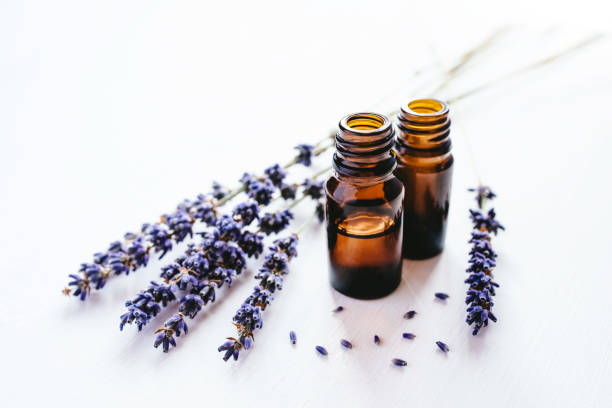 Dried lavender with a bottle of essential oil Dried lavender with a bottle of essential oil on white background. healthcare fitness and herbal medicine banner set stock pictures, royalty-free photos & images