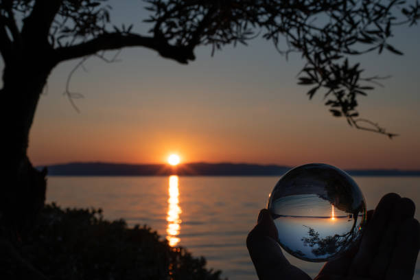 istock Sunset through glass sphere and olive tree branches at the beach 1152250929