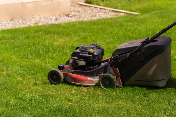 istock Old Lawn mower cutting green grass in backyard.Gardening background. 1152253215
