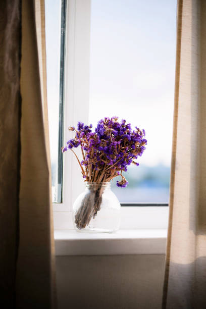 istock cute lilac wildflowers in a glass jar on a windowsill, background 1152253216