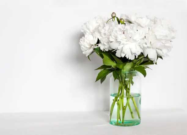 Bouquet of white peonies in a glass vase on a white wall background with copy space