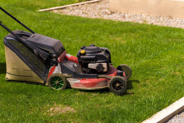 istock Old Lawn mower cutting green grass in backyard.Gardening background. 1152253591