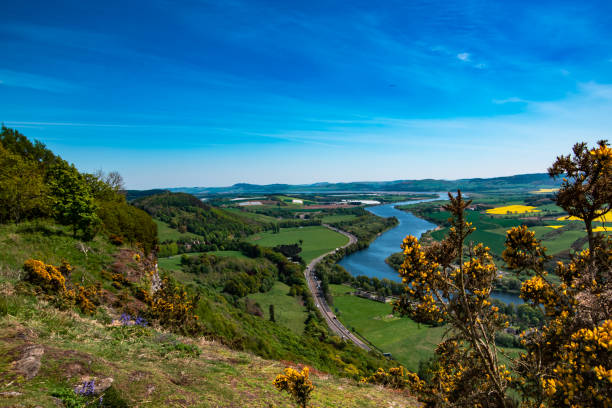 панорамный вид с холма киннулл (перт, шотландия, великобритания) - travel scotland forest field стоковые фото и изображения