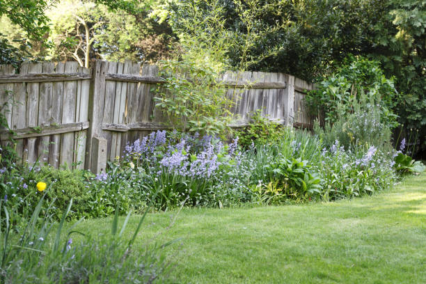 wooden garden boundary fence - ornamental garden europe flower bed old fashioned imagens e fotografias de stock