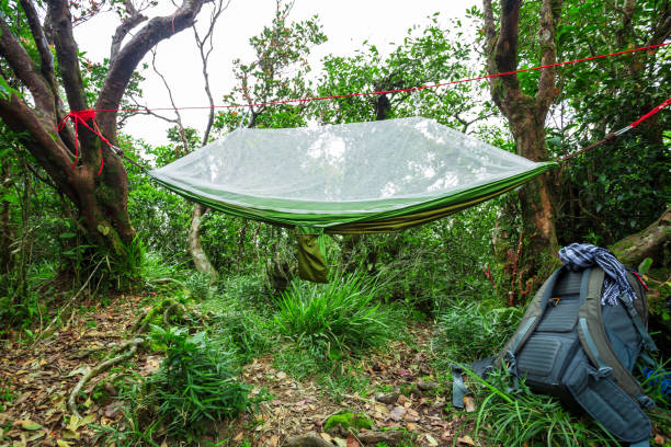 istock Hammocks hanging on the trail in wilderness 1152255479