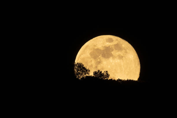 istock Full moon rising behind a hill with trees 1152256382